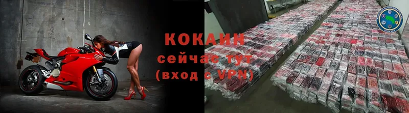 Cocaine FishScale  kraken вход  Канск 